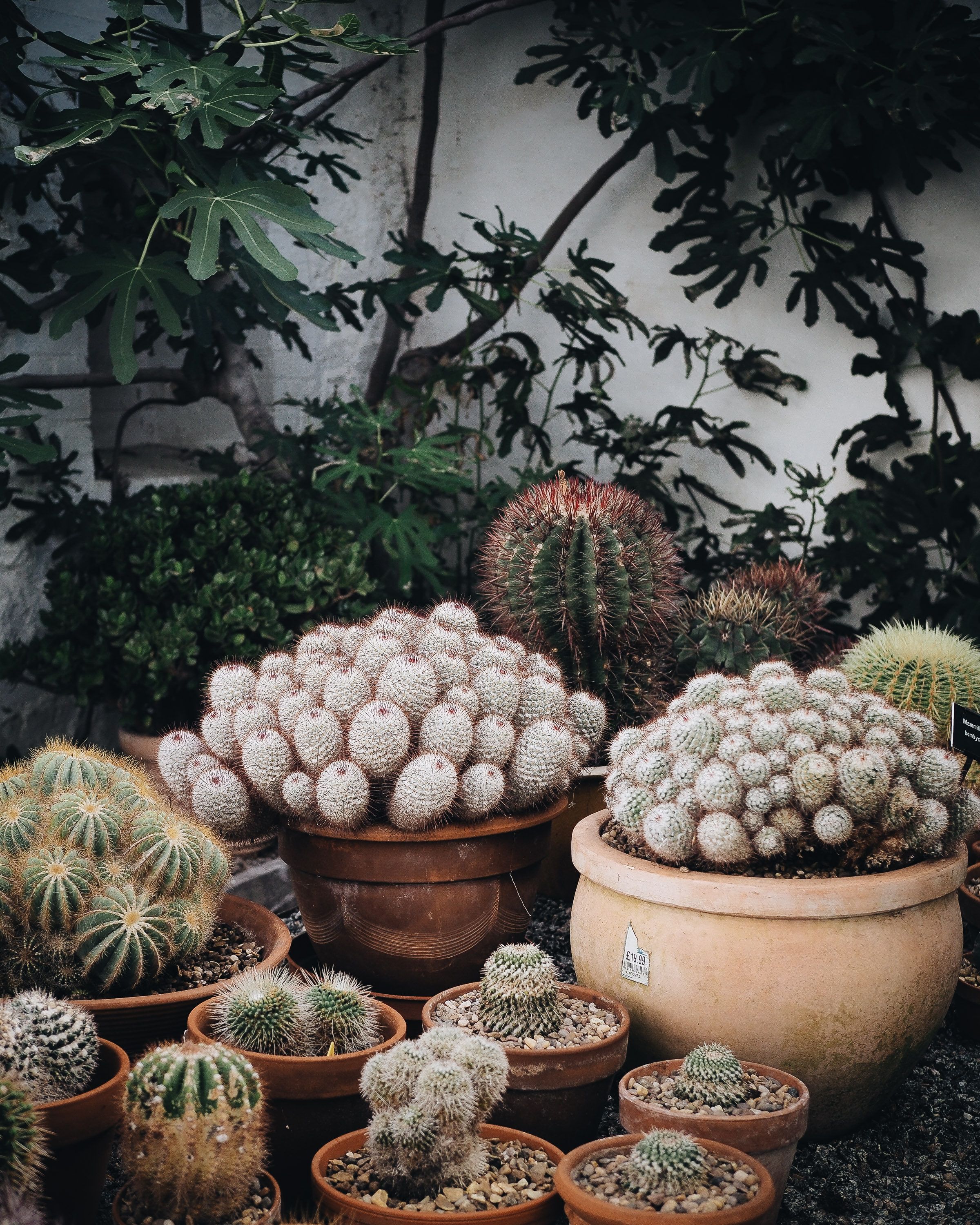 The Best Public Gardens