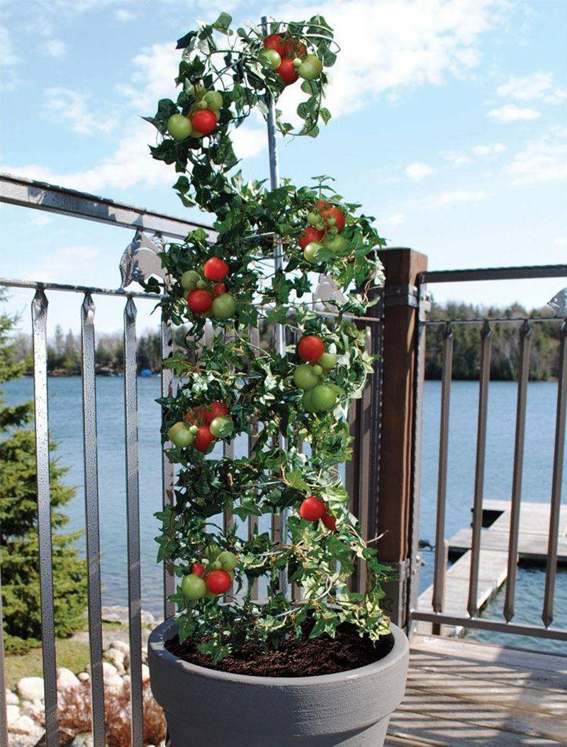 Vertical Gardening Concepts