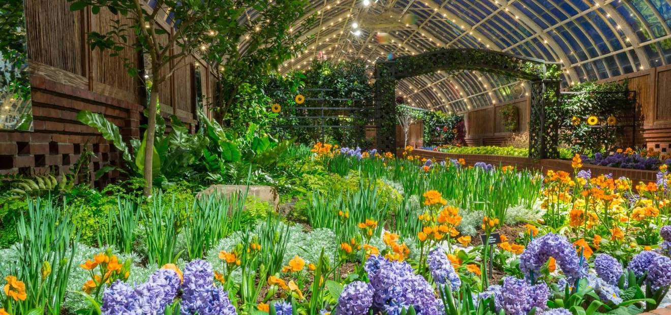 Glamorous Gardens