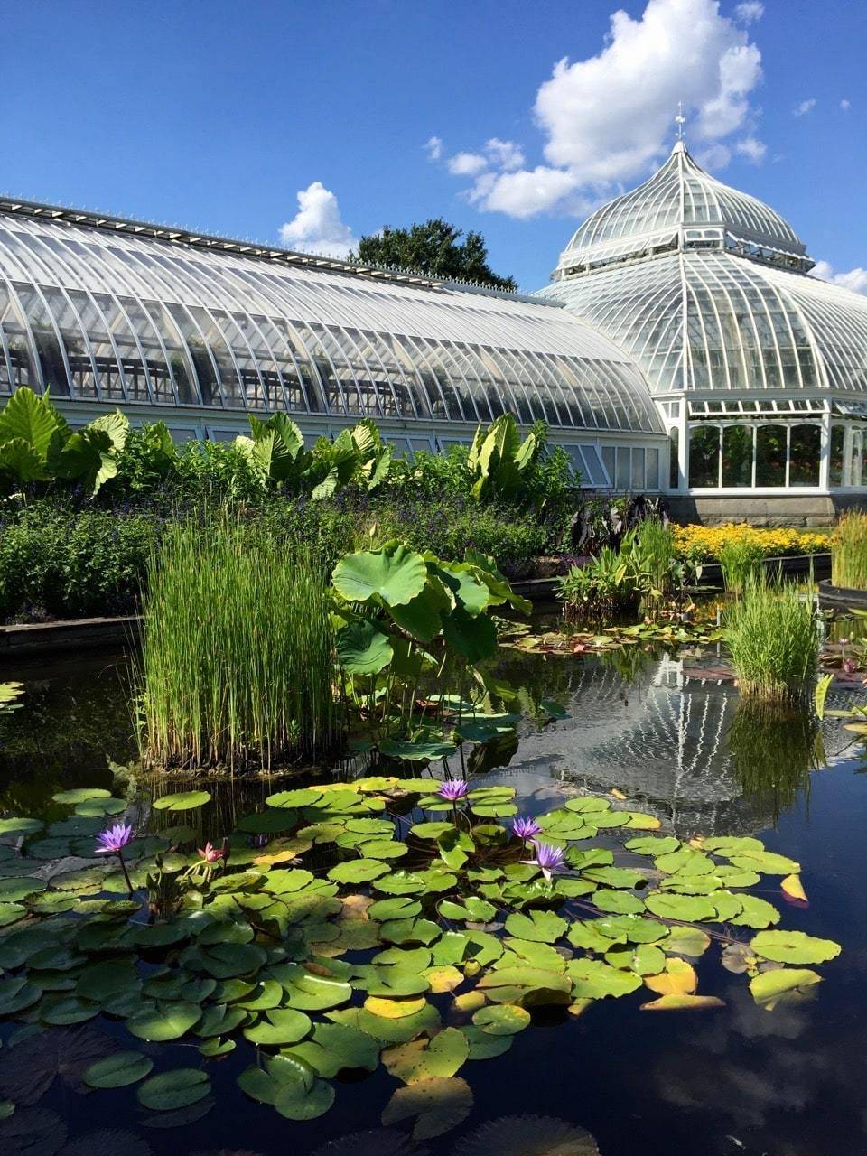 Phipps Conservatory