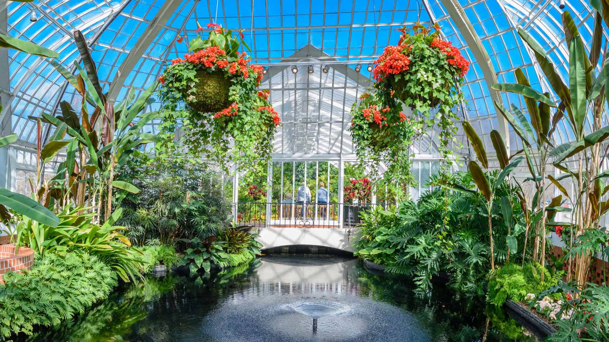 Phipps Conservatory And Botanical Gardens Botanical Gardens