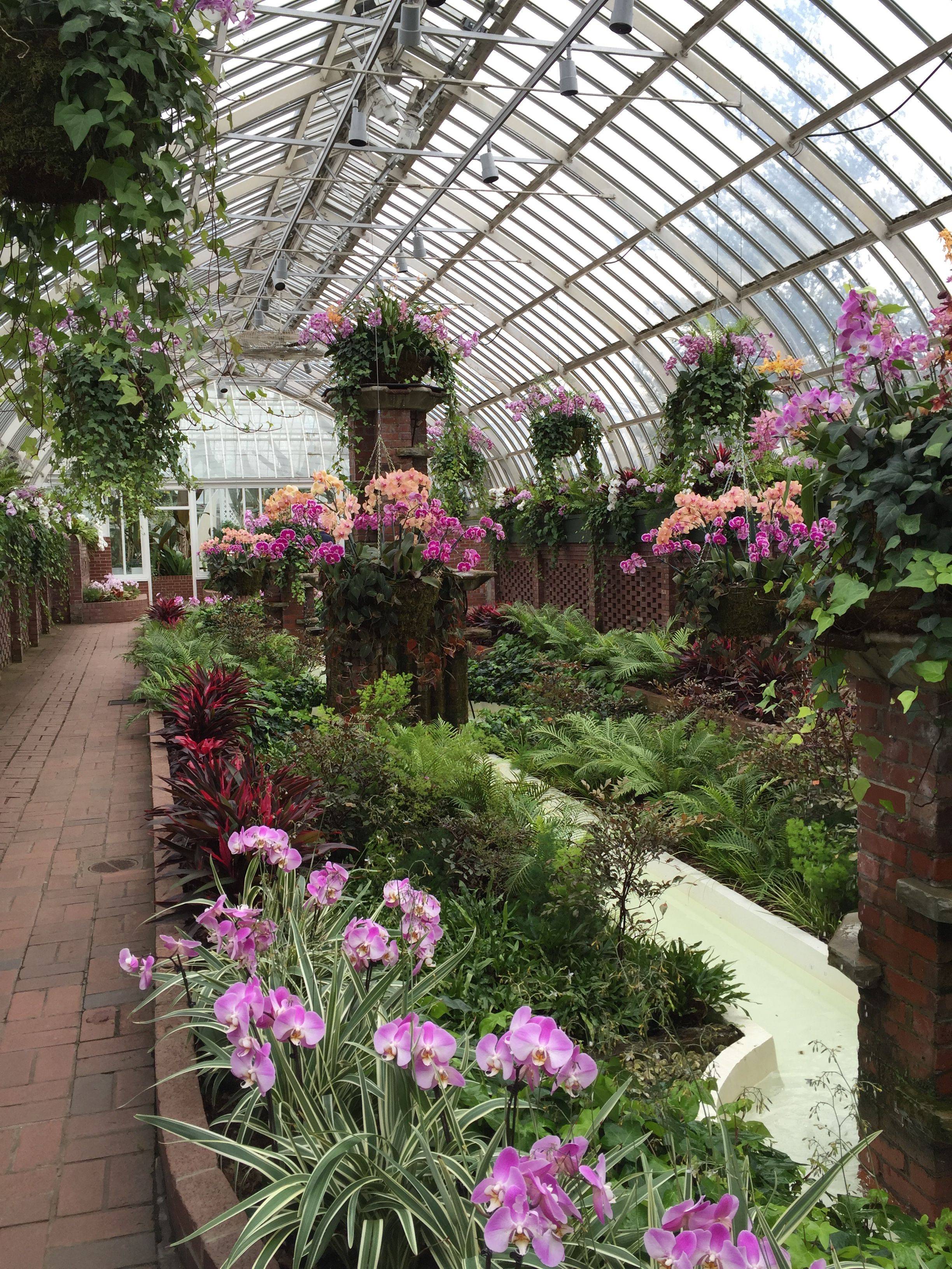 Enchanted Forest Phipps Conservatory