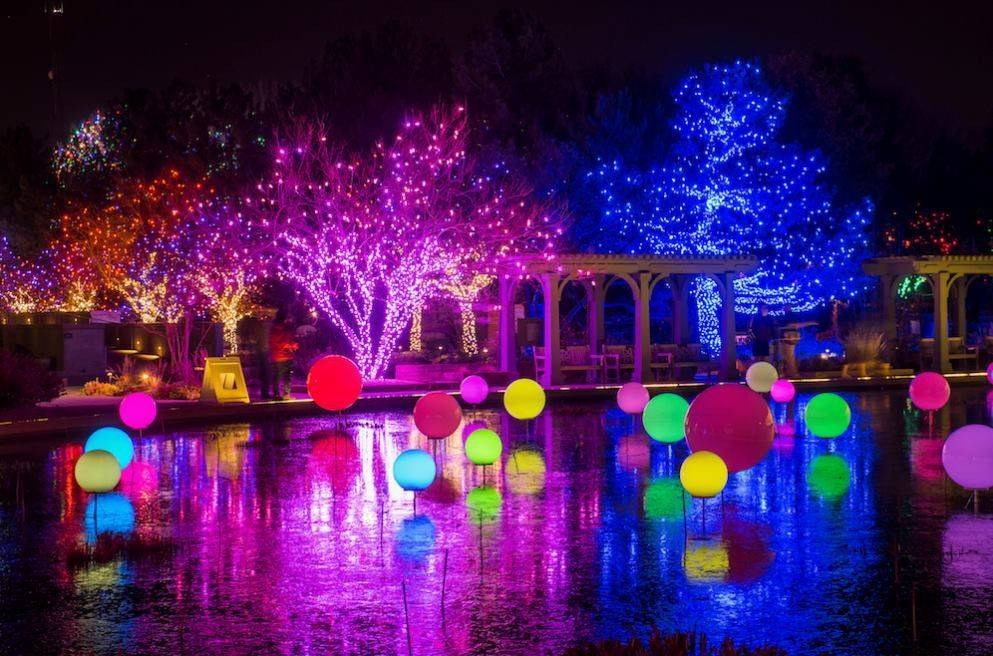 Botanical Garden Christmas Lights