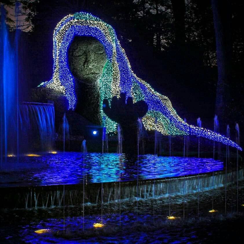 Atlanta Botanical Garden Christmas Lights