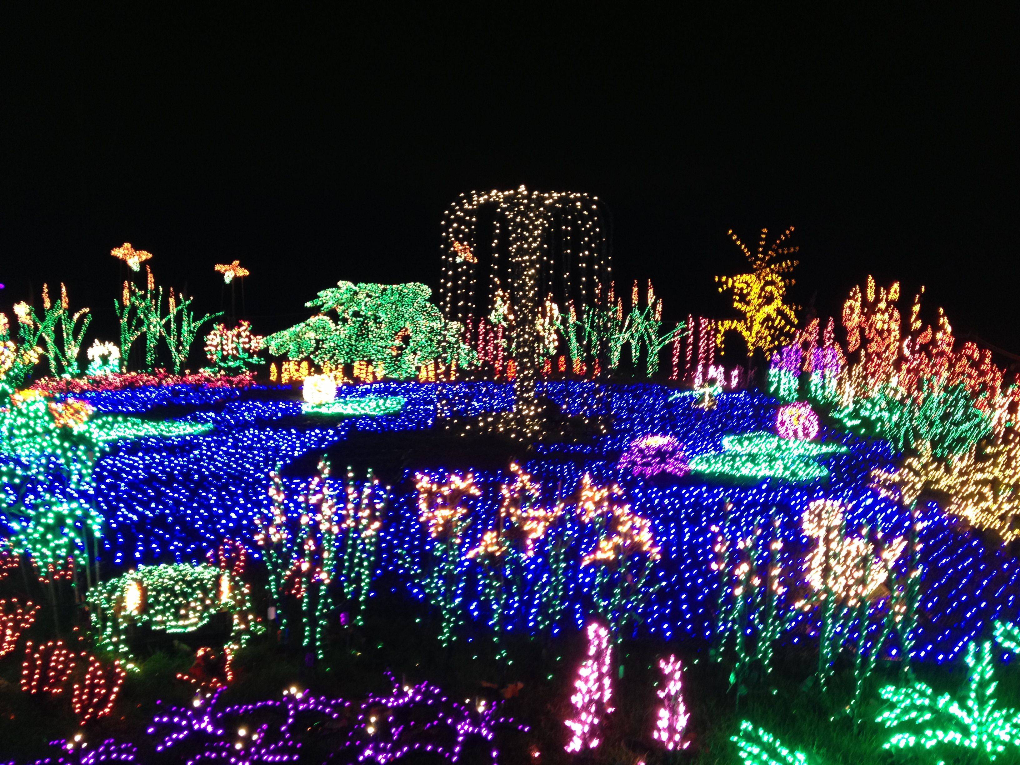 Best Botanical Garden Holiday Light Displays