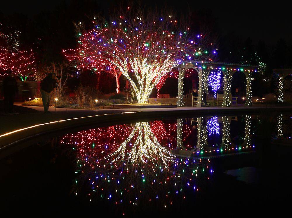 Botanical Garden Christmas Lights Denver Totalegossip