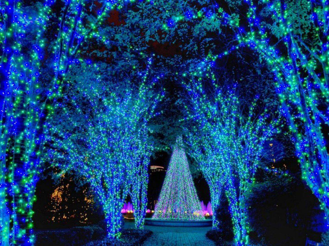 Botanical Garden Christmas Lights