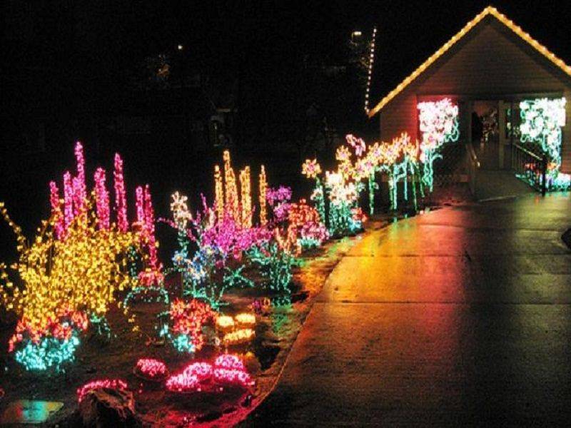 Sleepless In Seattle Botanical Garden Lights And More