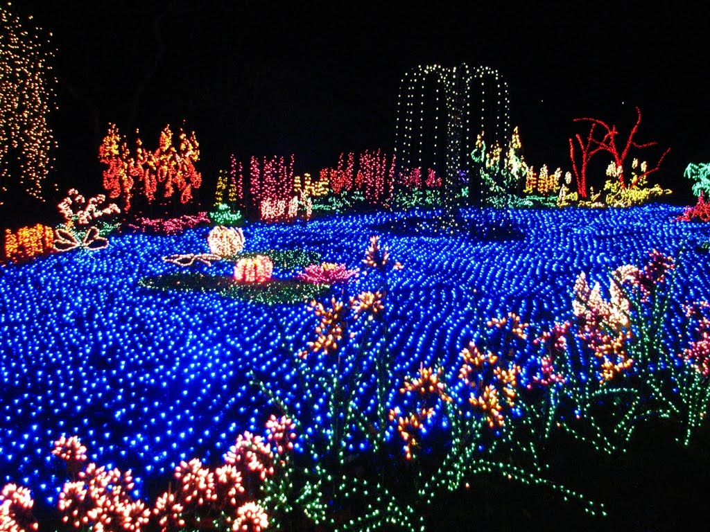 Top Christmas Lighting Richmond Va Home Diy Projects Inspiration