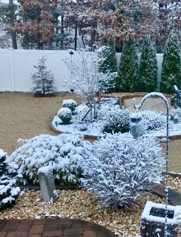 Winter Garden Design Ideas