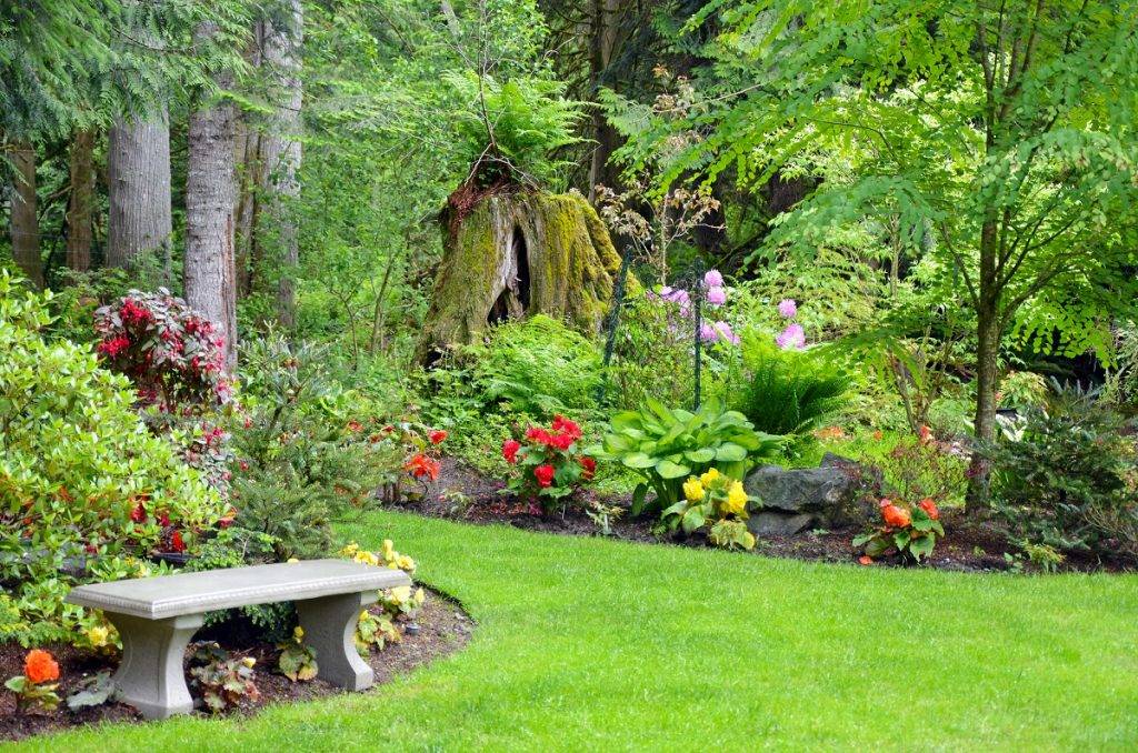 Pics Bellevue Botanical Garden