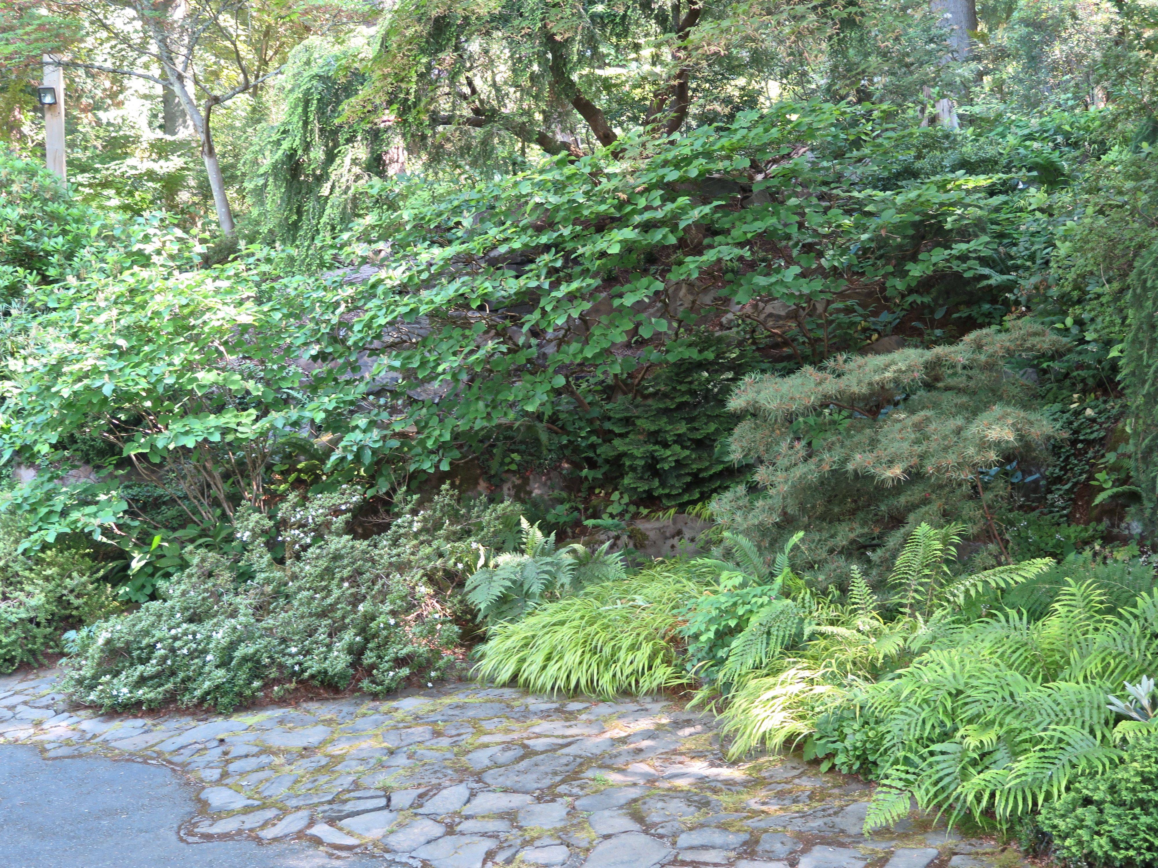 Bellevue Botanical Garden
