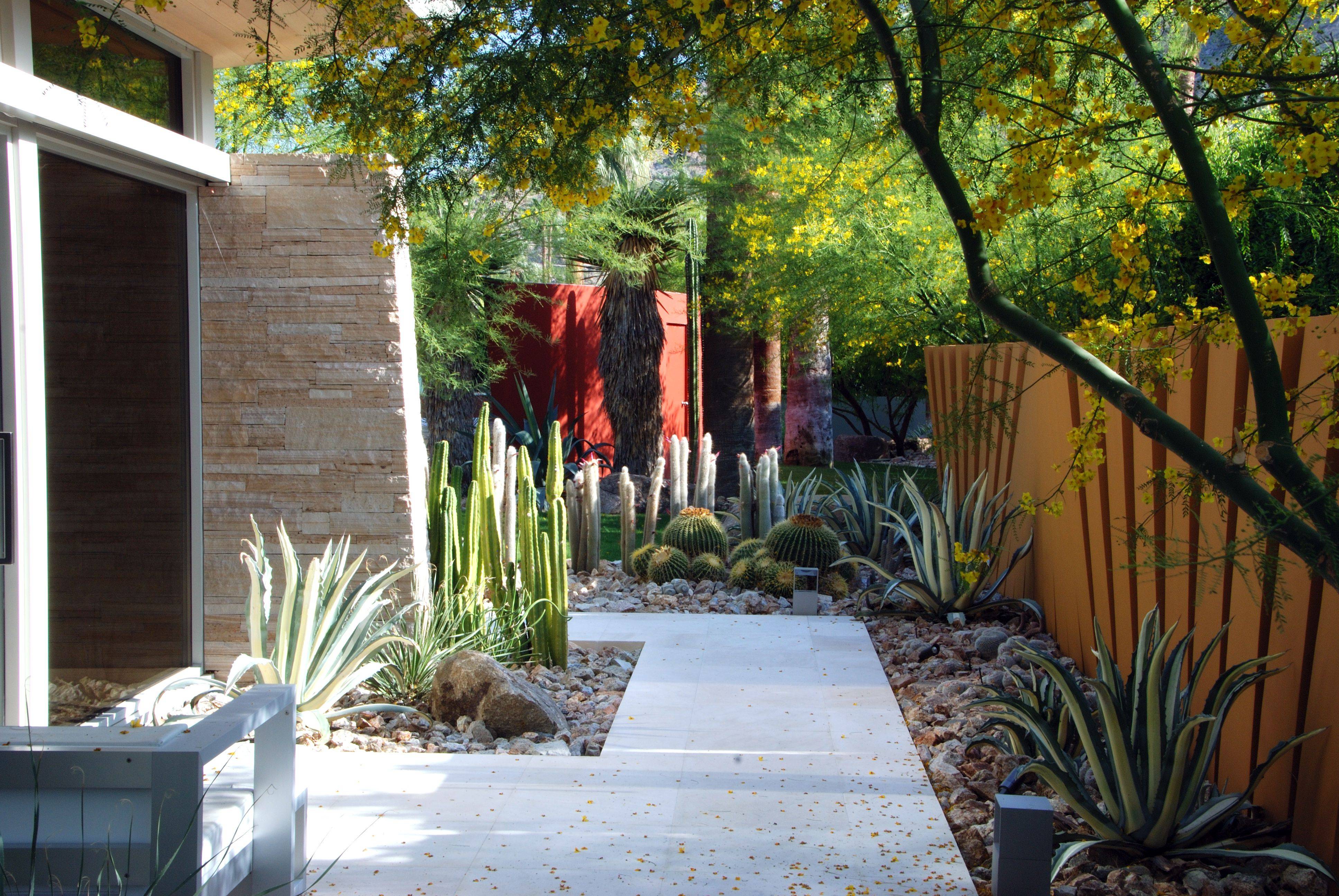 Best Desert Landscaping Ideas Images