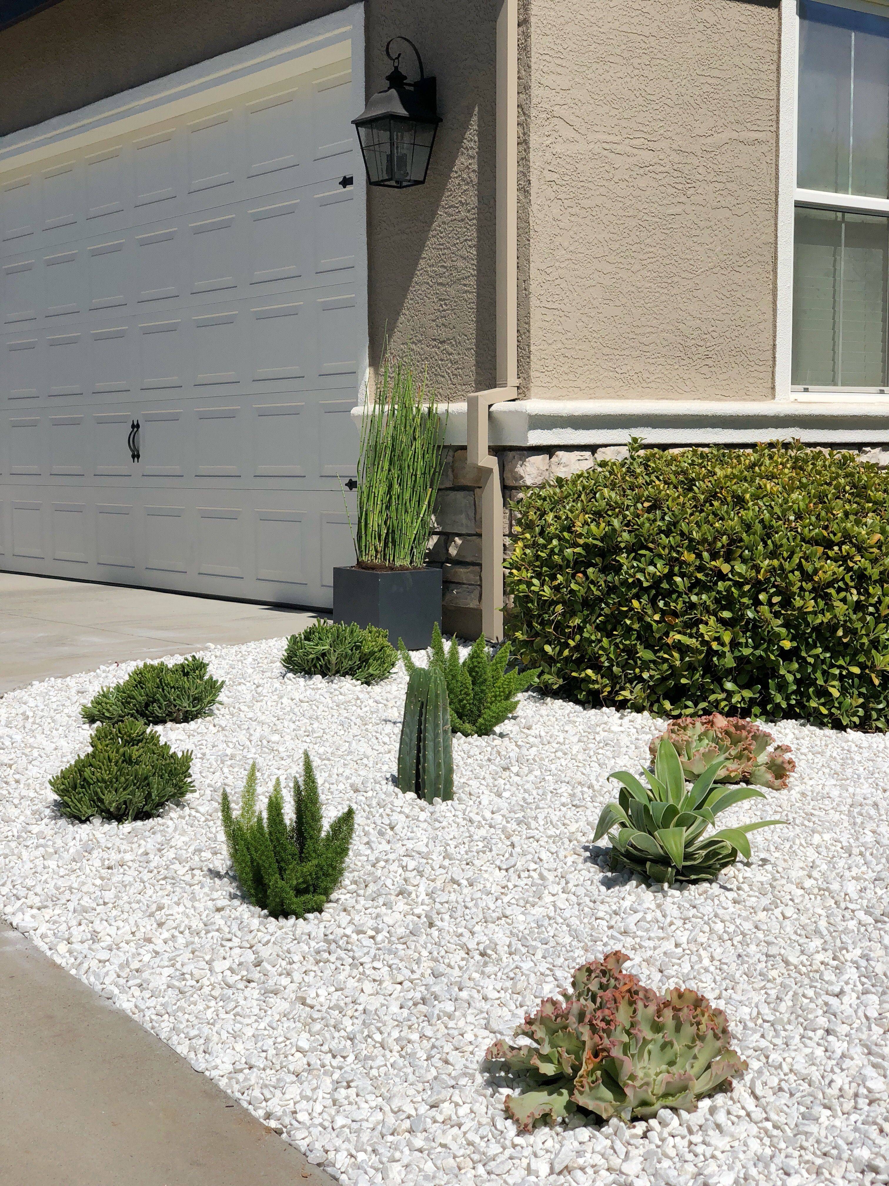 Palm Springs Landscape Design Ideas Landscape Design