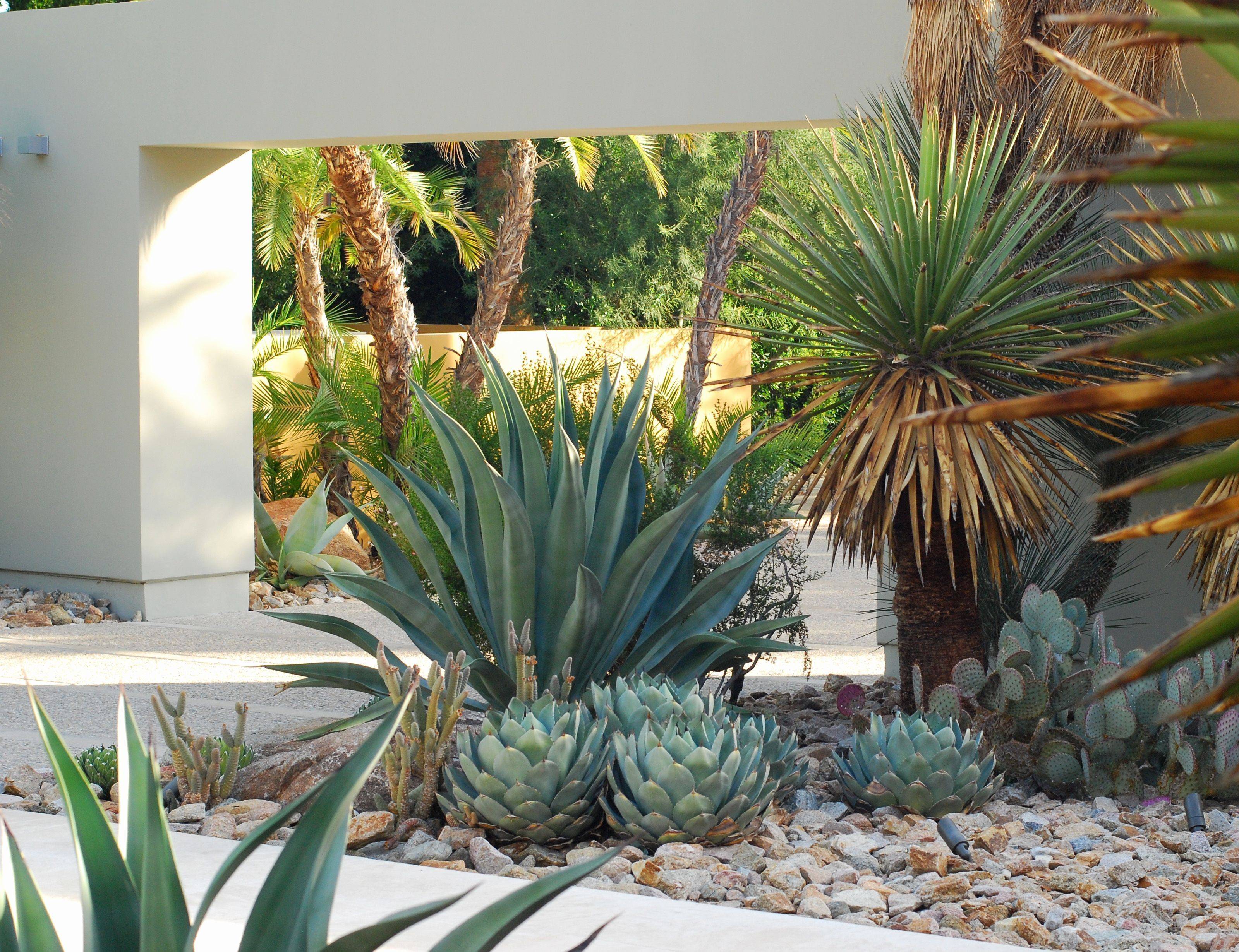 Front Yard Landscaping