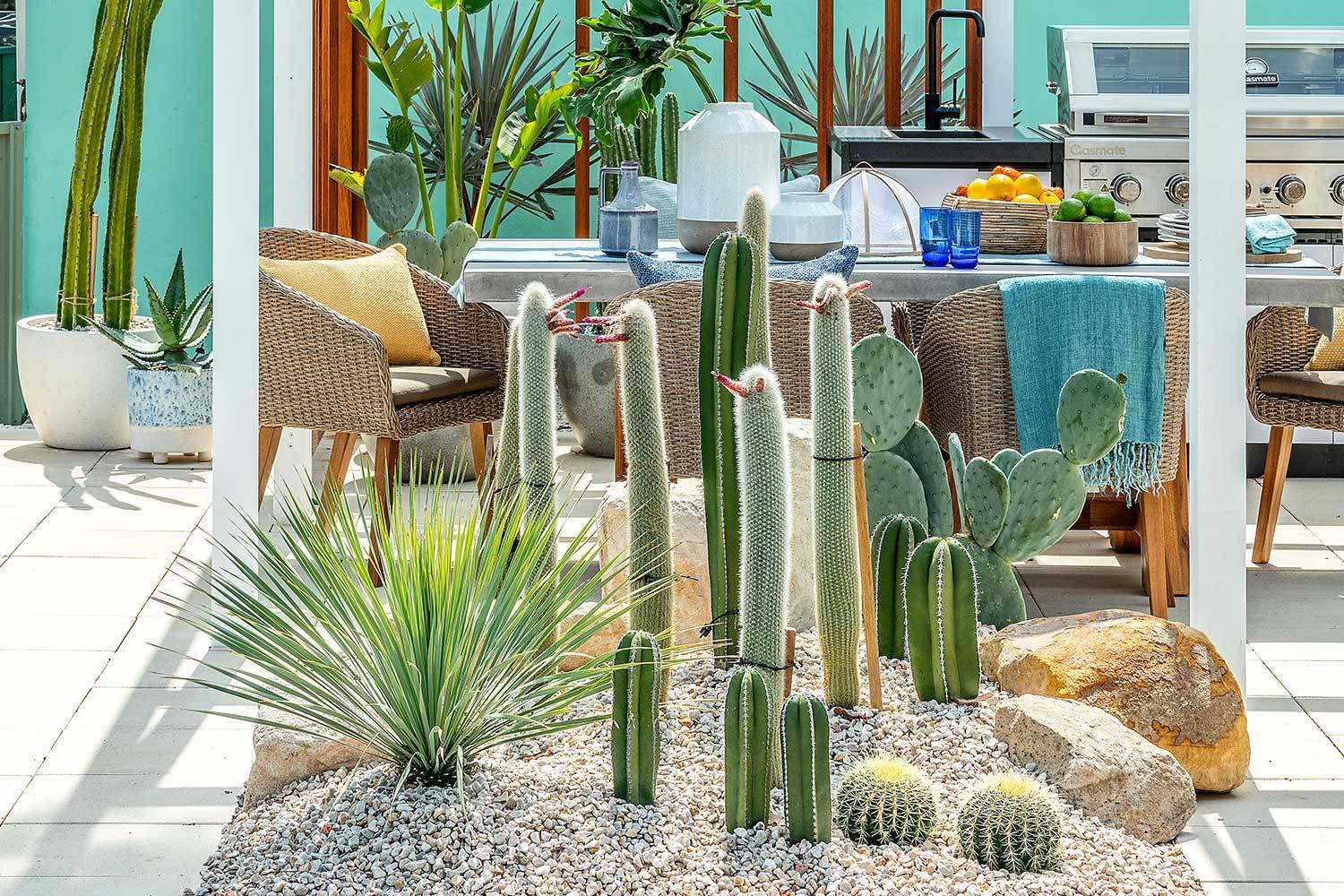 The Midcentury Modern Garden