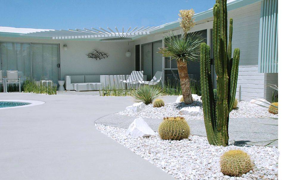 Springlandscapingideasexteriormidcenturywithpalmtreespalmtrees