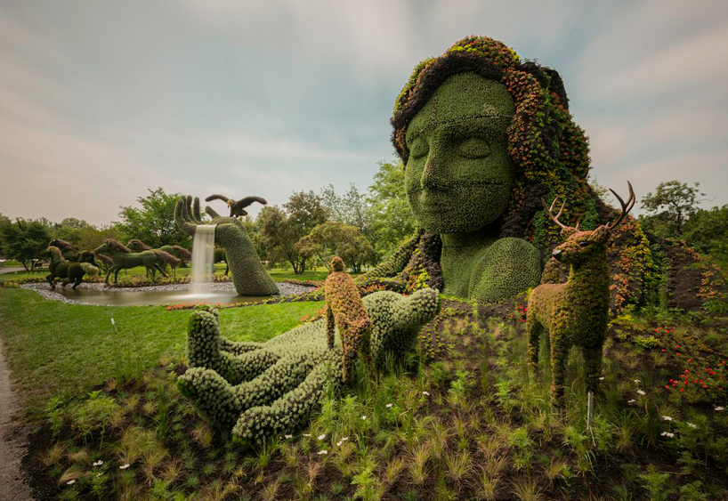 The Amazing Plant