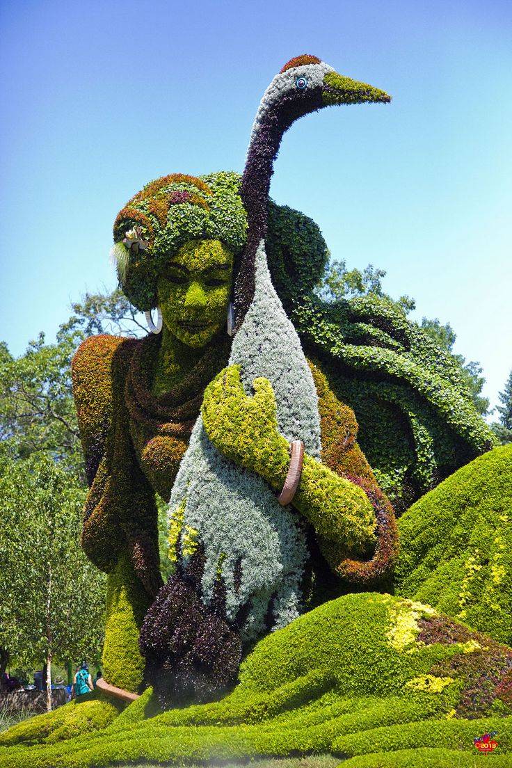 The Amazing Plant
