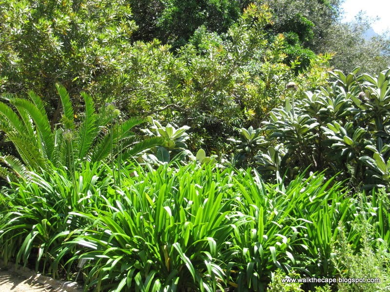 Botanic Gardens