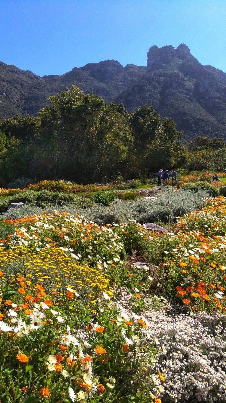 Kirstenbosch National Botanical Garden