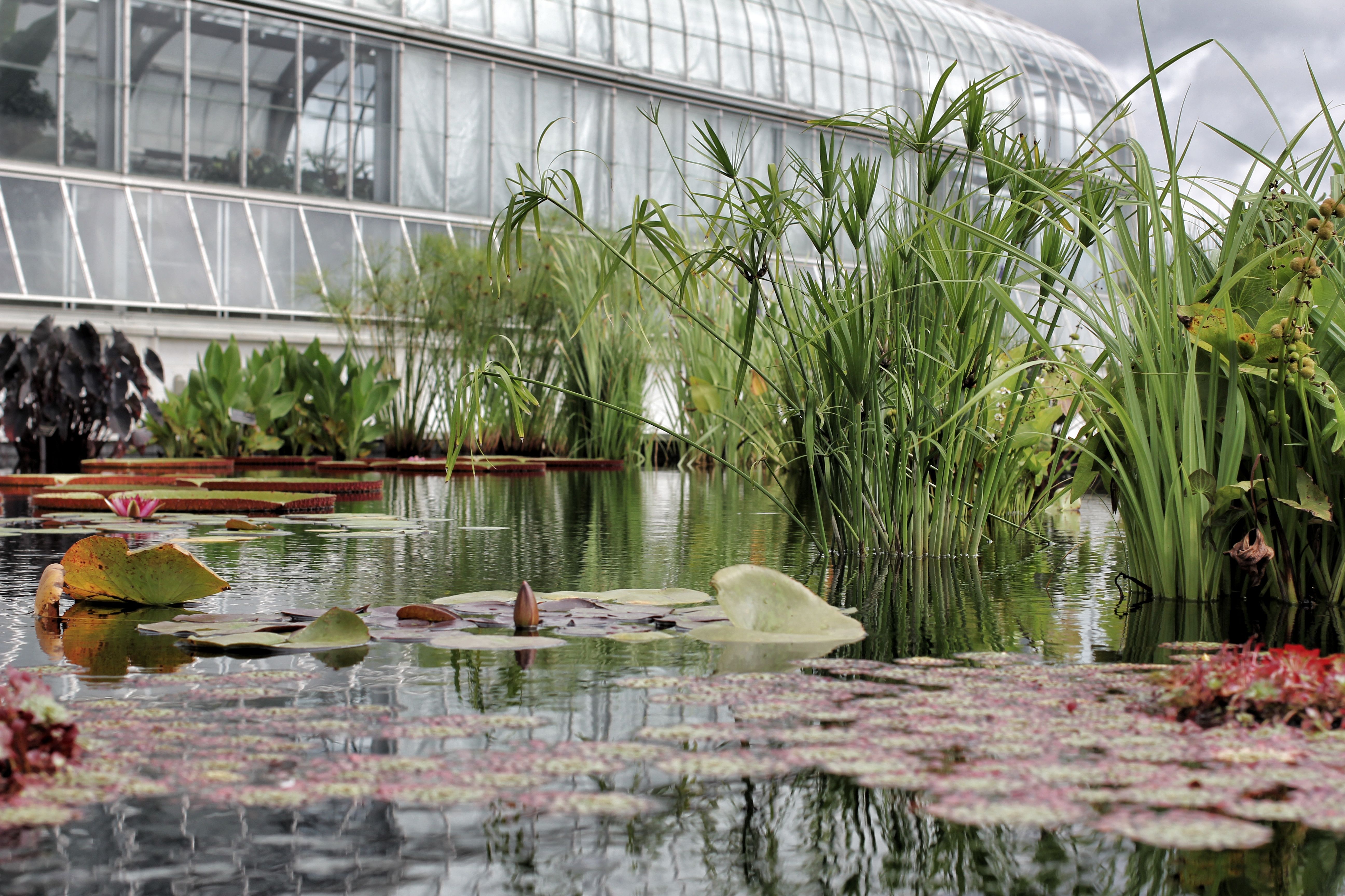 Phipps Conservatory