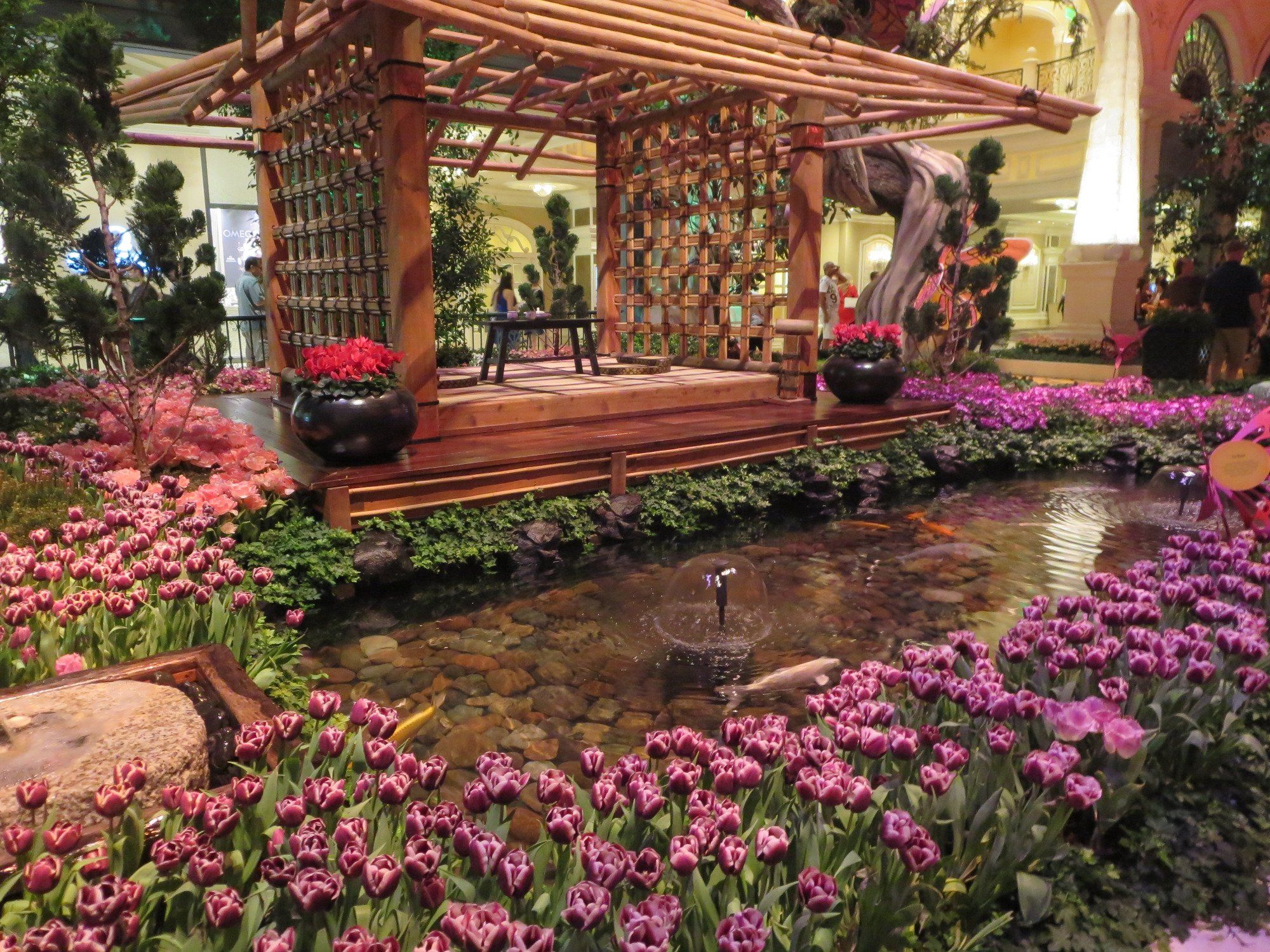 Volunteer Park Conservatory