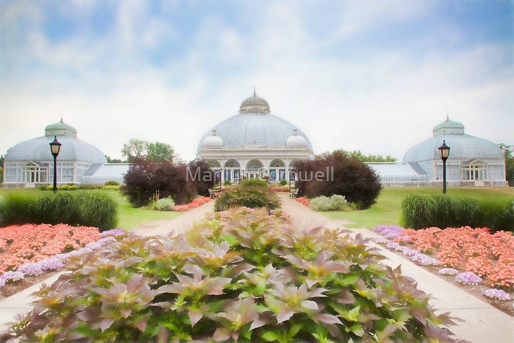 23 Buffalo Botanical Garden Ideas To Try This Year SharonSable