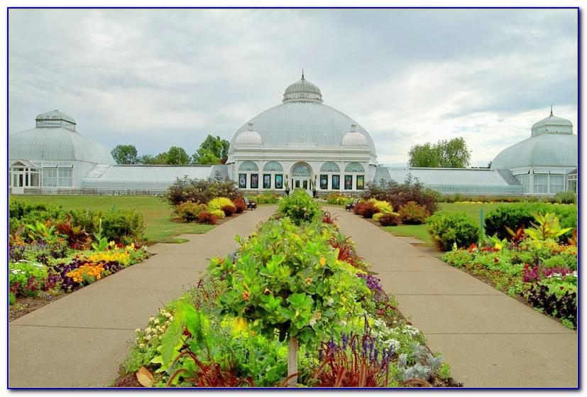 Buffalo Erie Co Botanical Gardens Luxury Garden