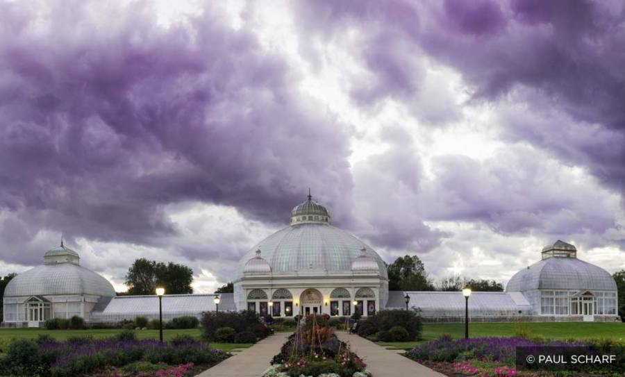 Buffalo Botanical Gardens