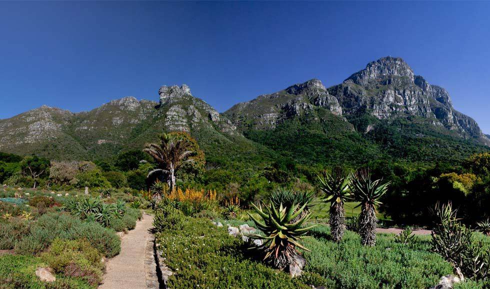 Kirstenbosch Botanical Gardens