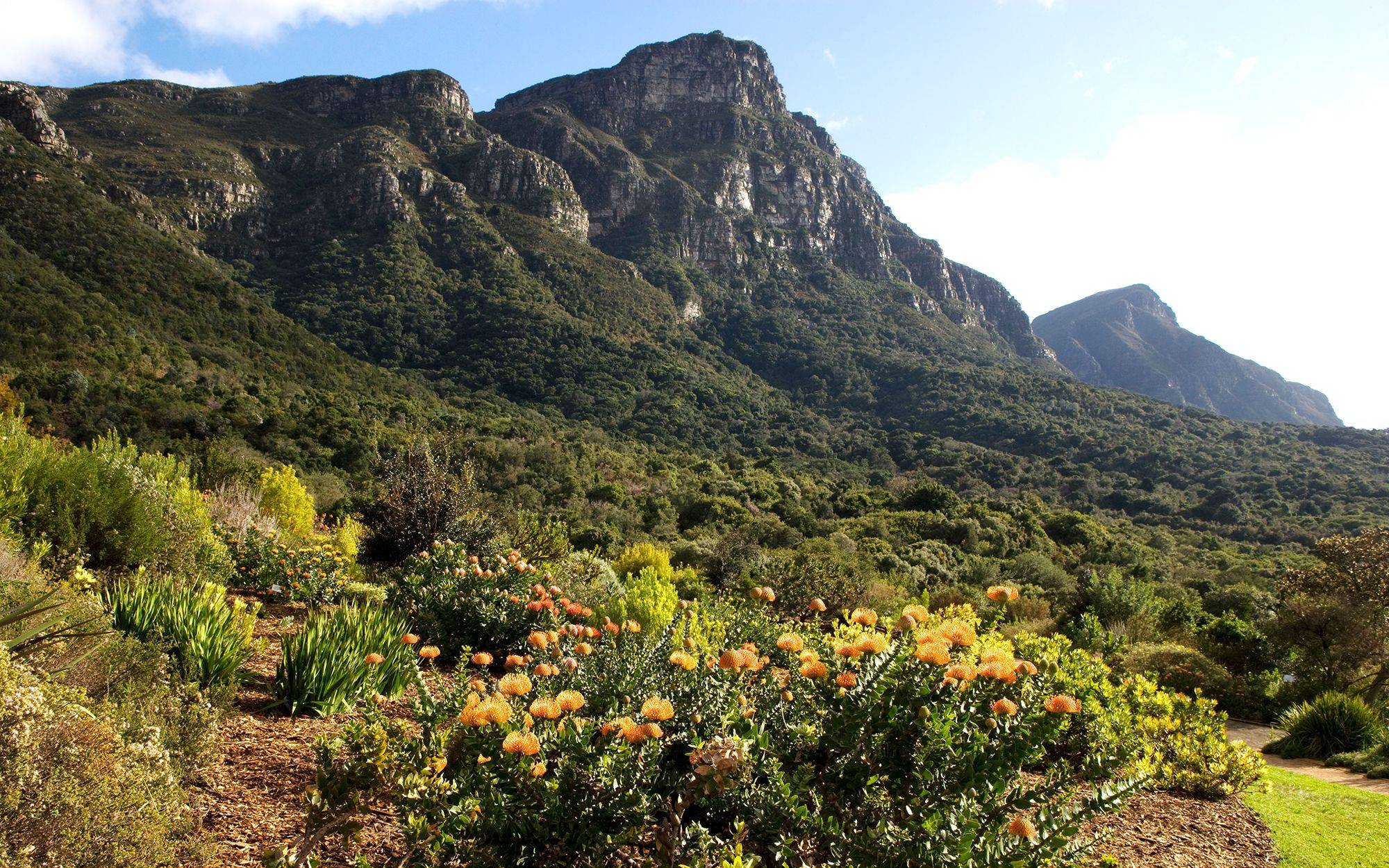 File Kirstenbosch National Botanical Garden Cape Town P