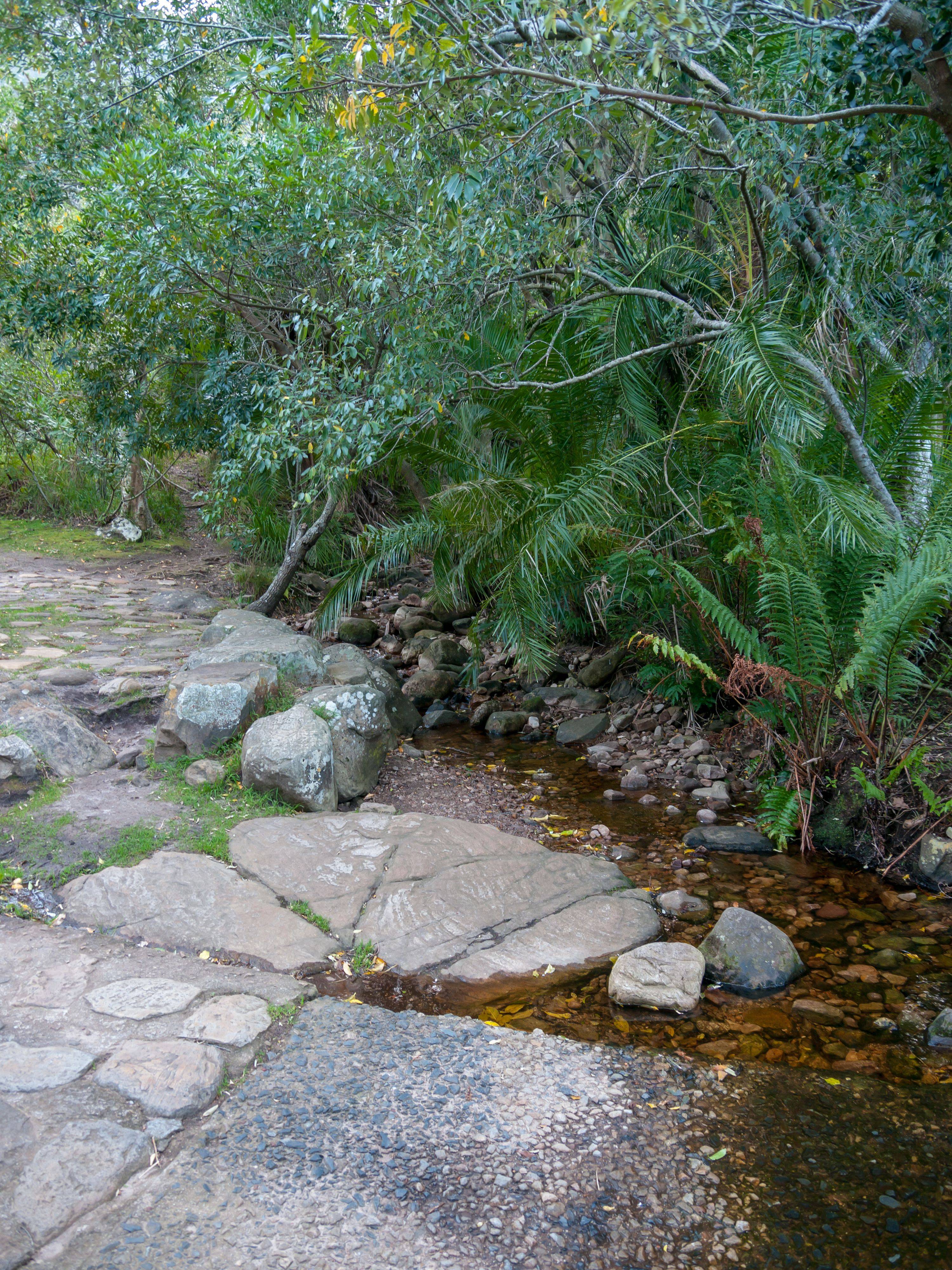 Fynbos Gardens