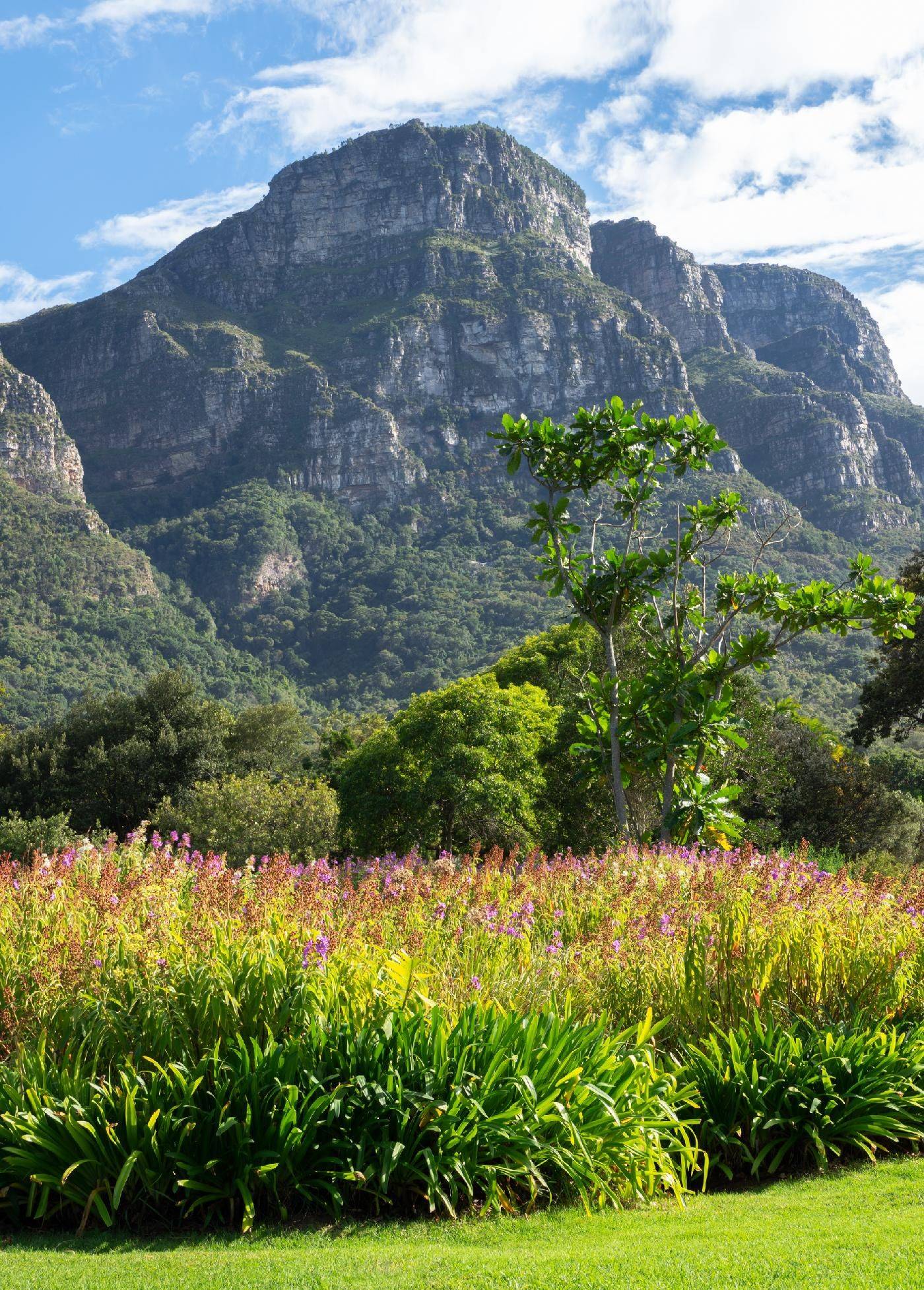 Kirstenbosch Botanical Garden