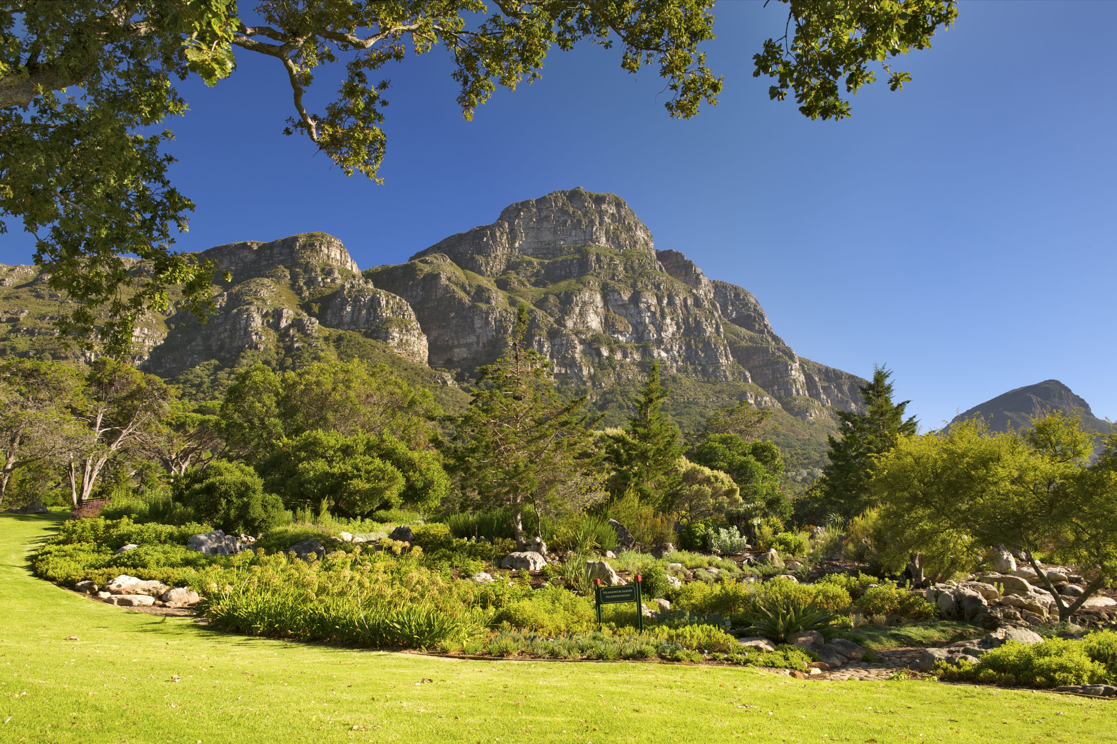 Kirstenbosch National Botanical Garden Cape Town South