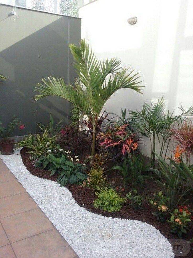 Coolest Tropical Flower Garden Ideas