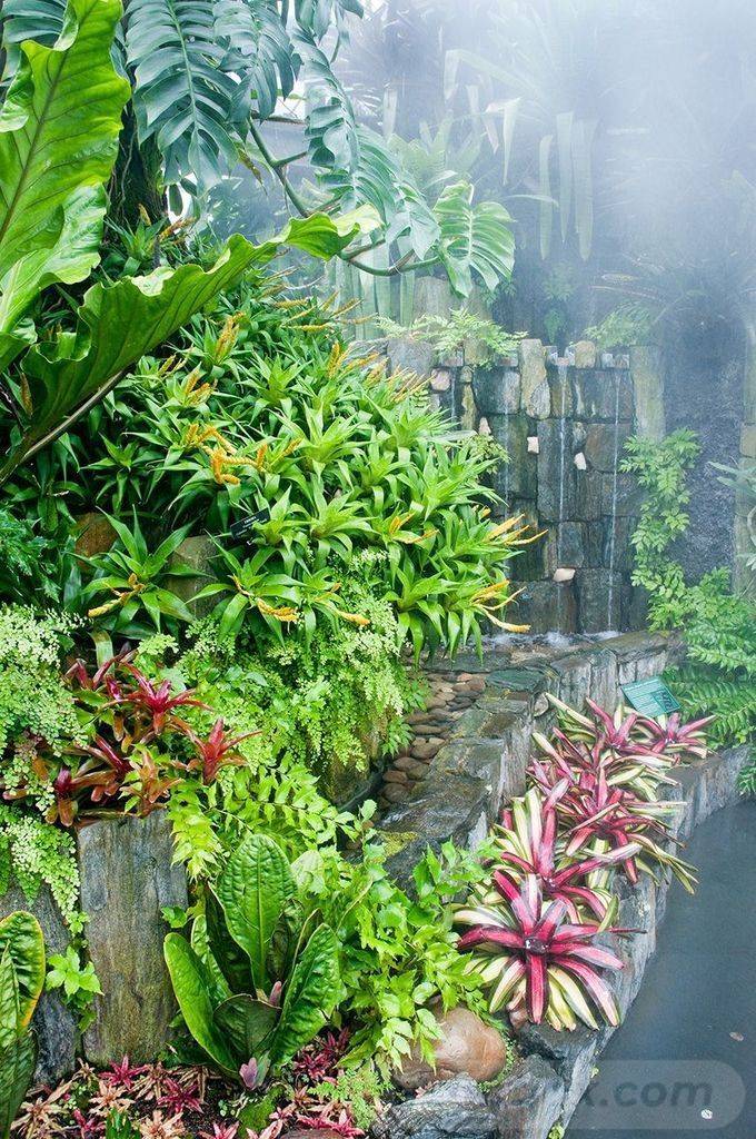 Tropical Flower Garden Ideas