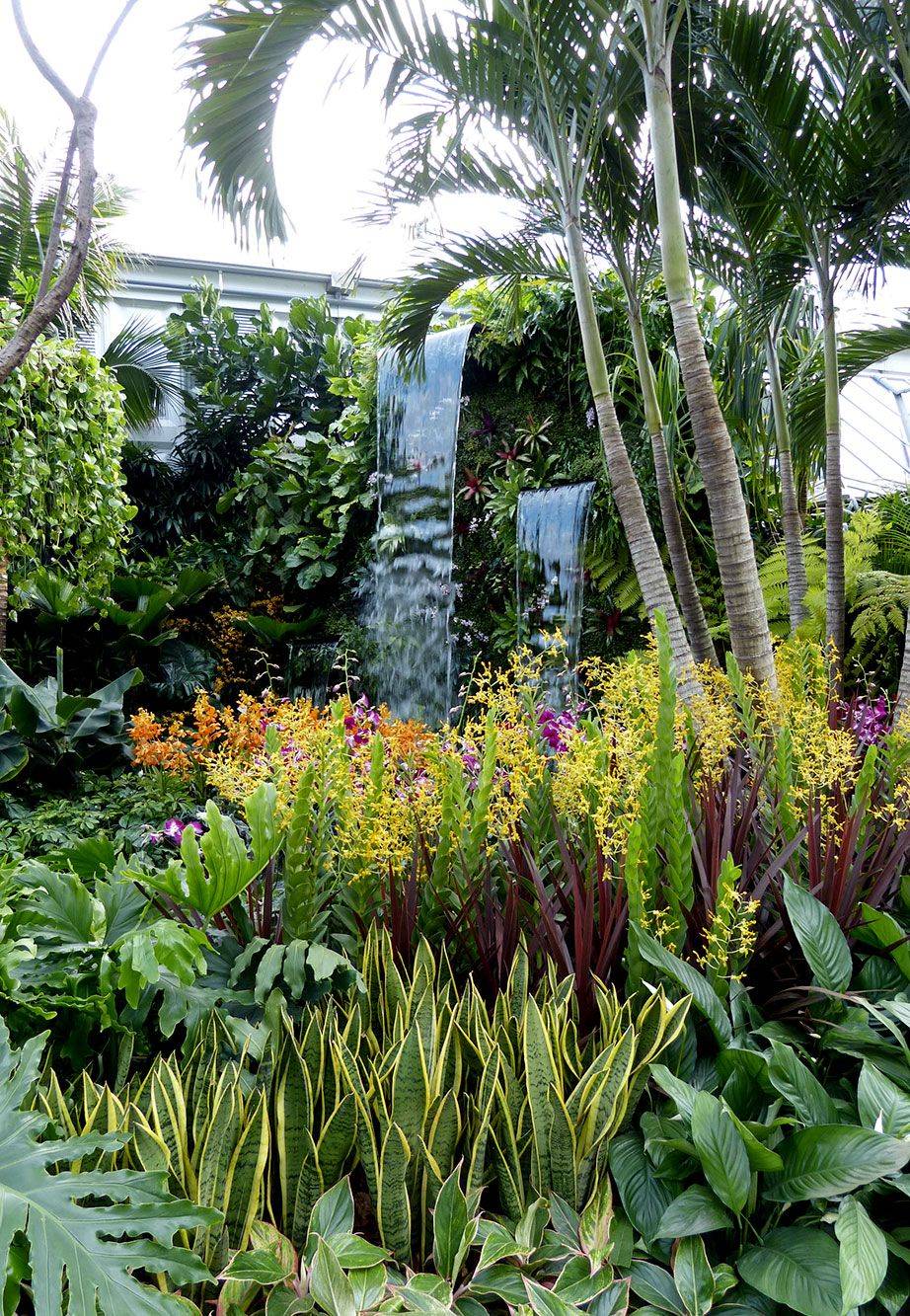 Tropical Flower Garden Design Ideas