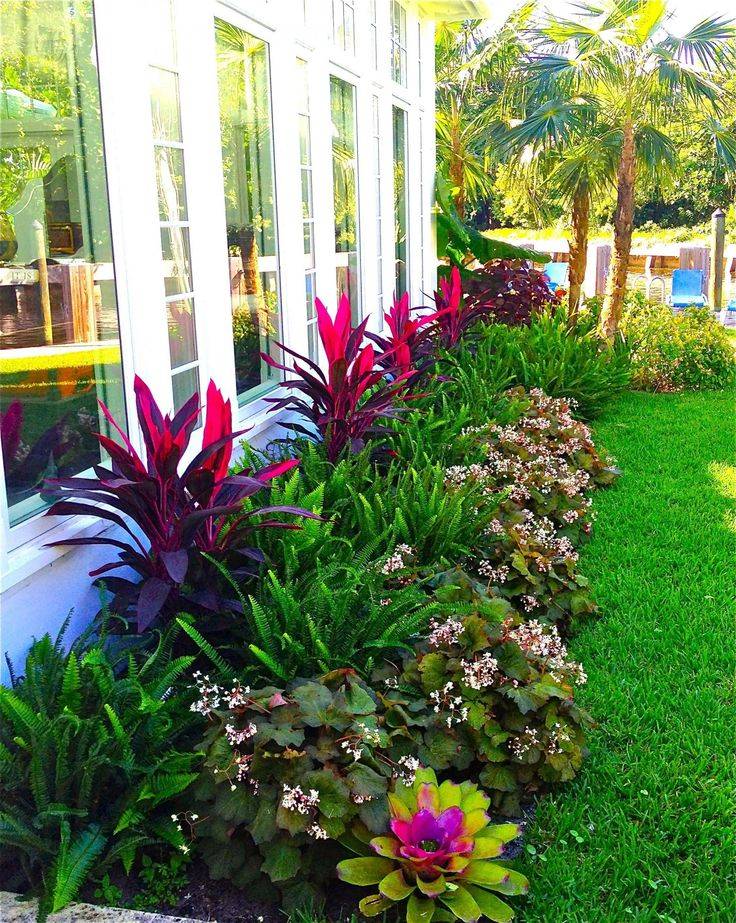 Best Tropical Garden Design Ideas Home