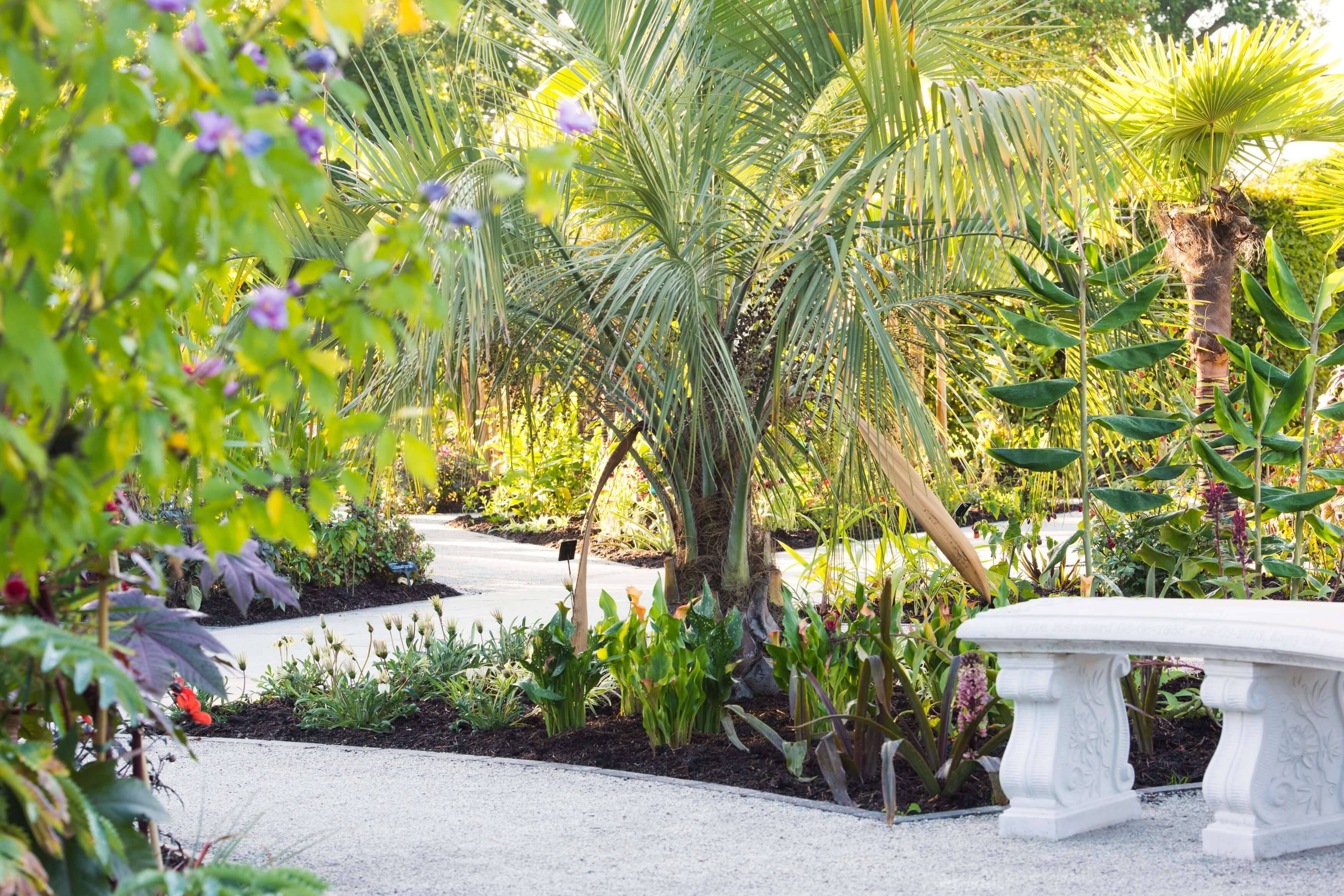 Refreshing Tropical Landscaping Ideas