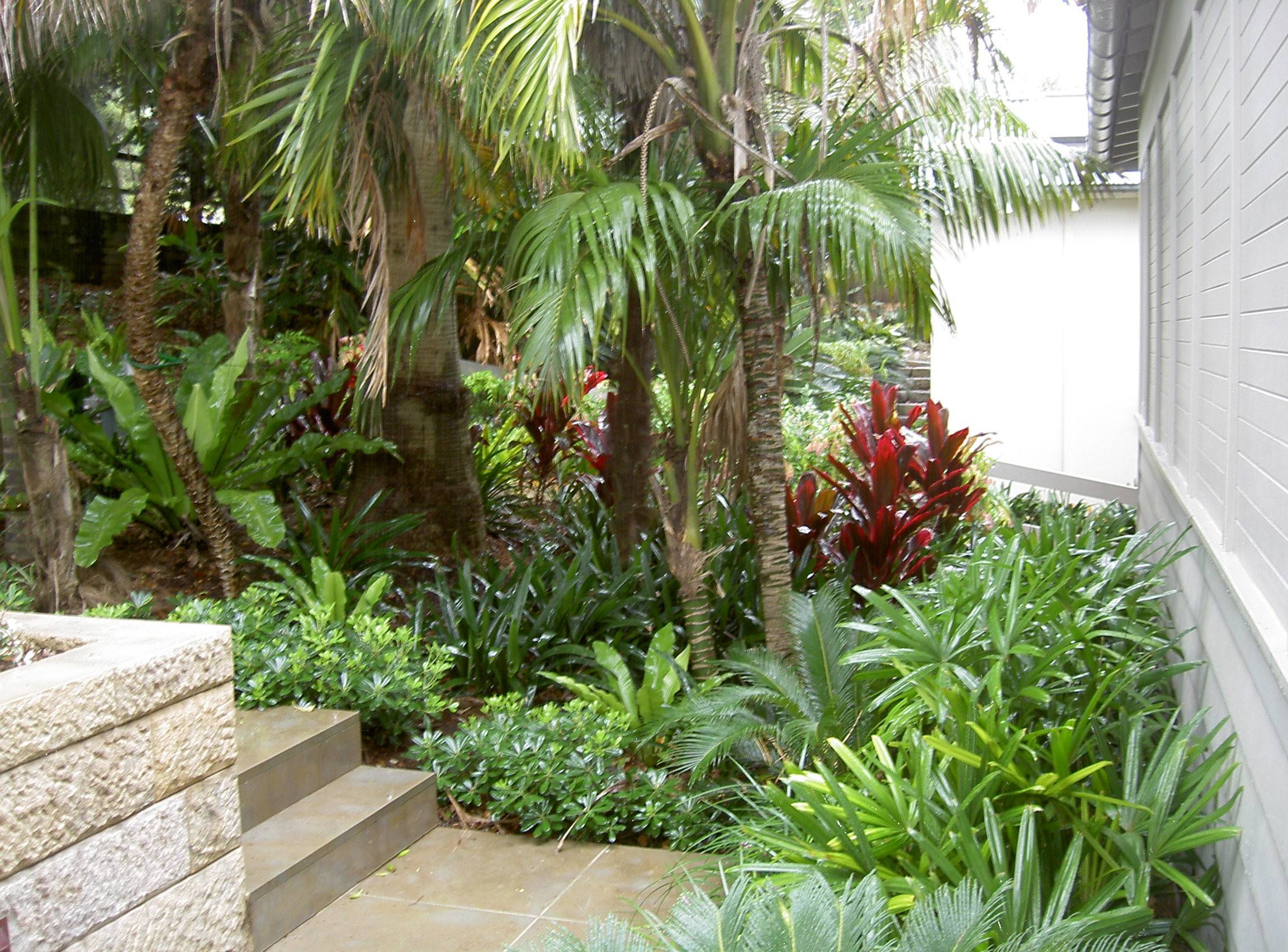 Beautiful Tropical Front Yard Landscape Ideas
