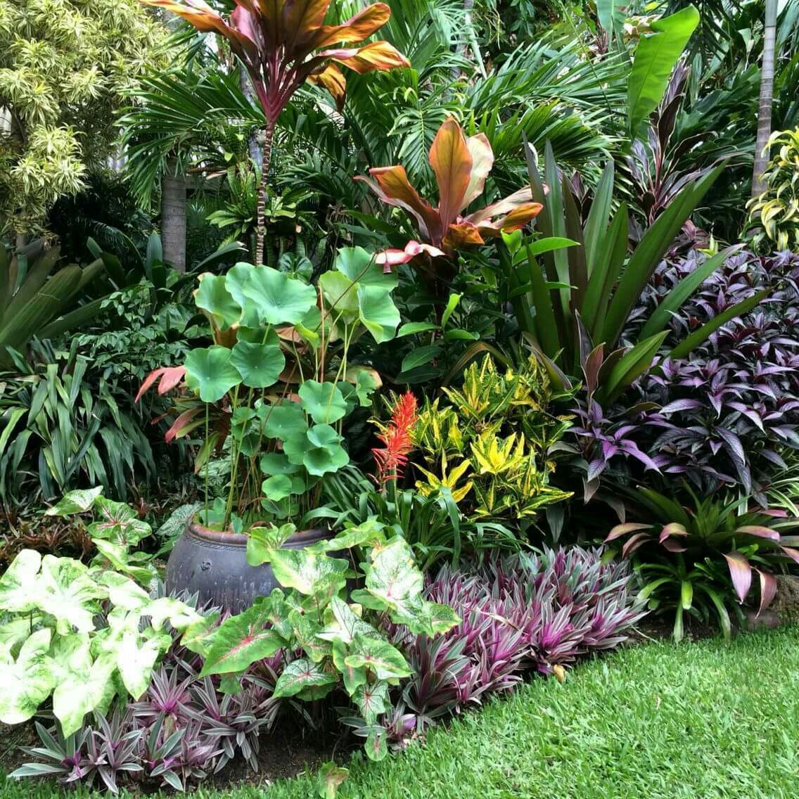 Tropical Flower Garden Design Ideas
