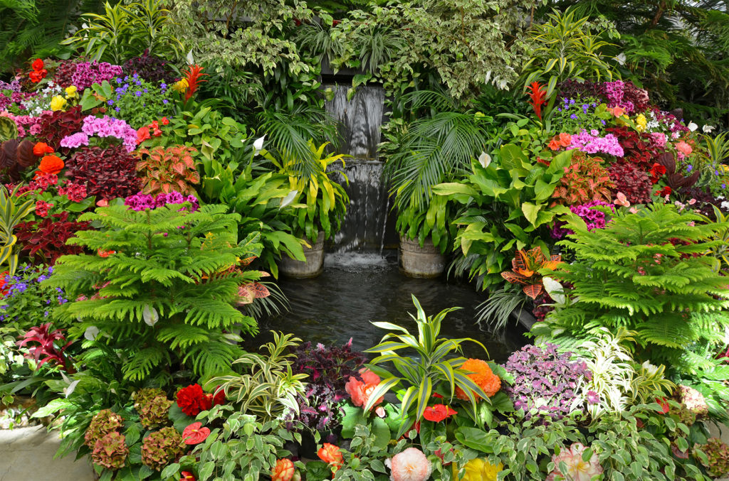 Tropical Flower Garden Design Ideas