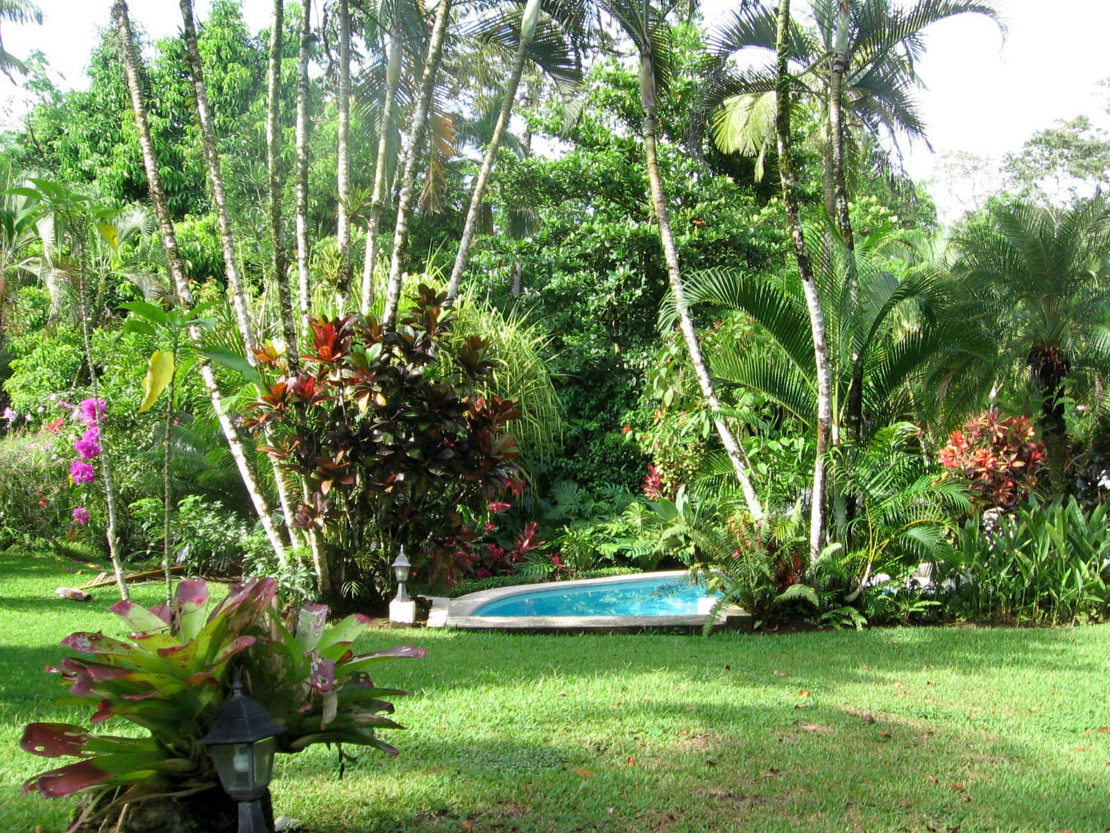 Tropical Landscaping Design Ideas