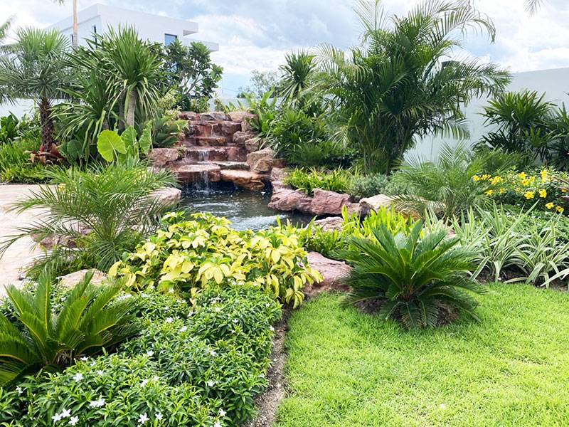 Lovely Tropical Garden Design Ideas Magzhouse