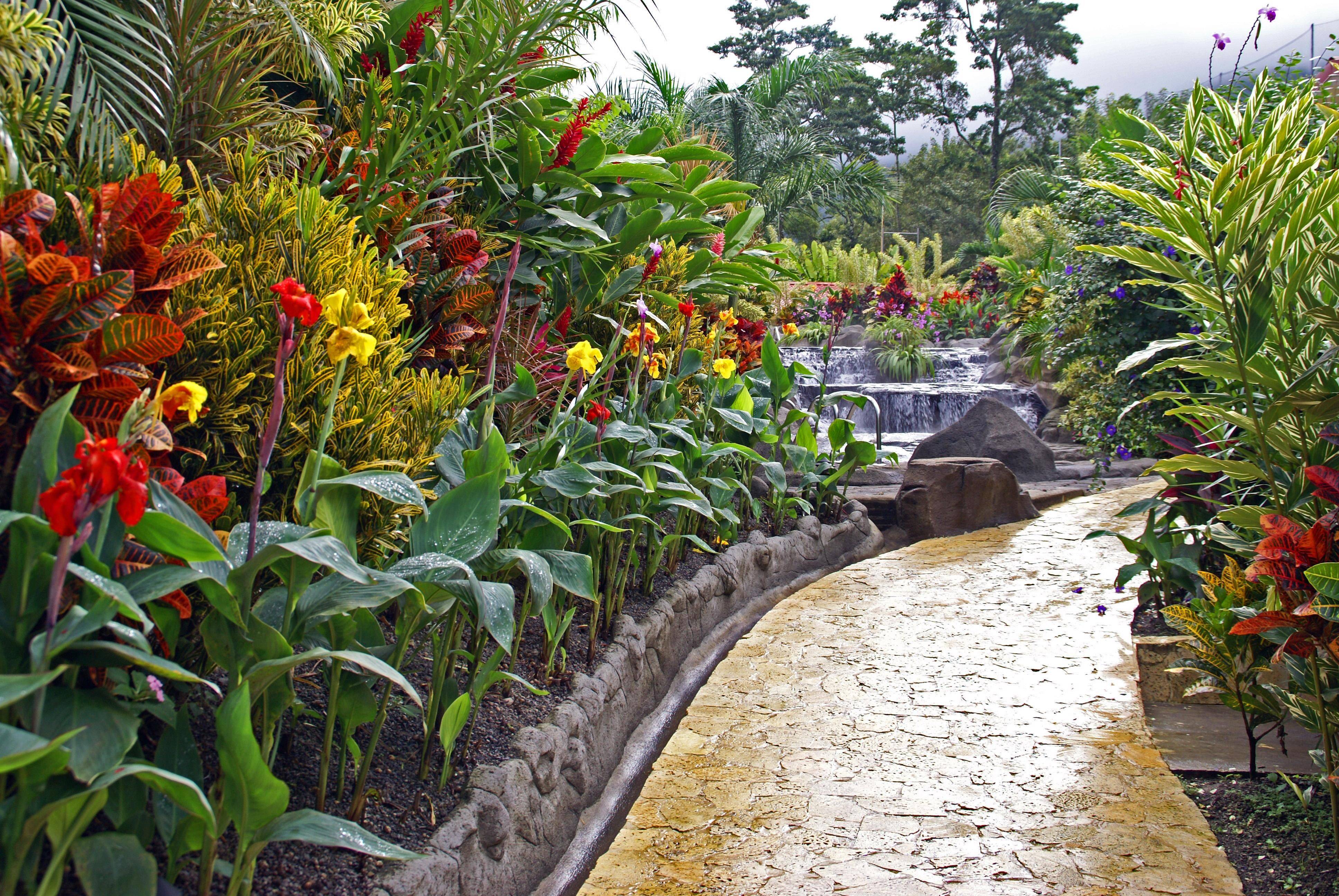 The Ultimate Tropical Landscaping Water Features
