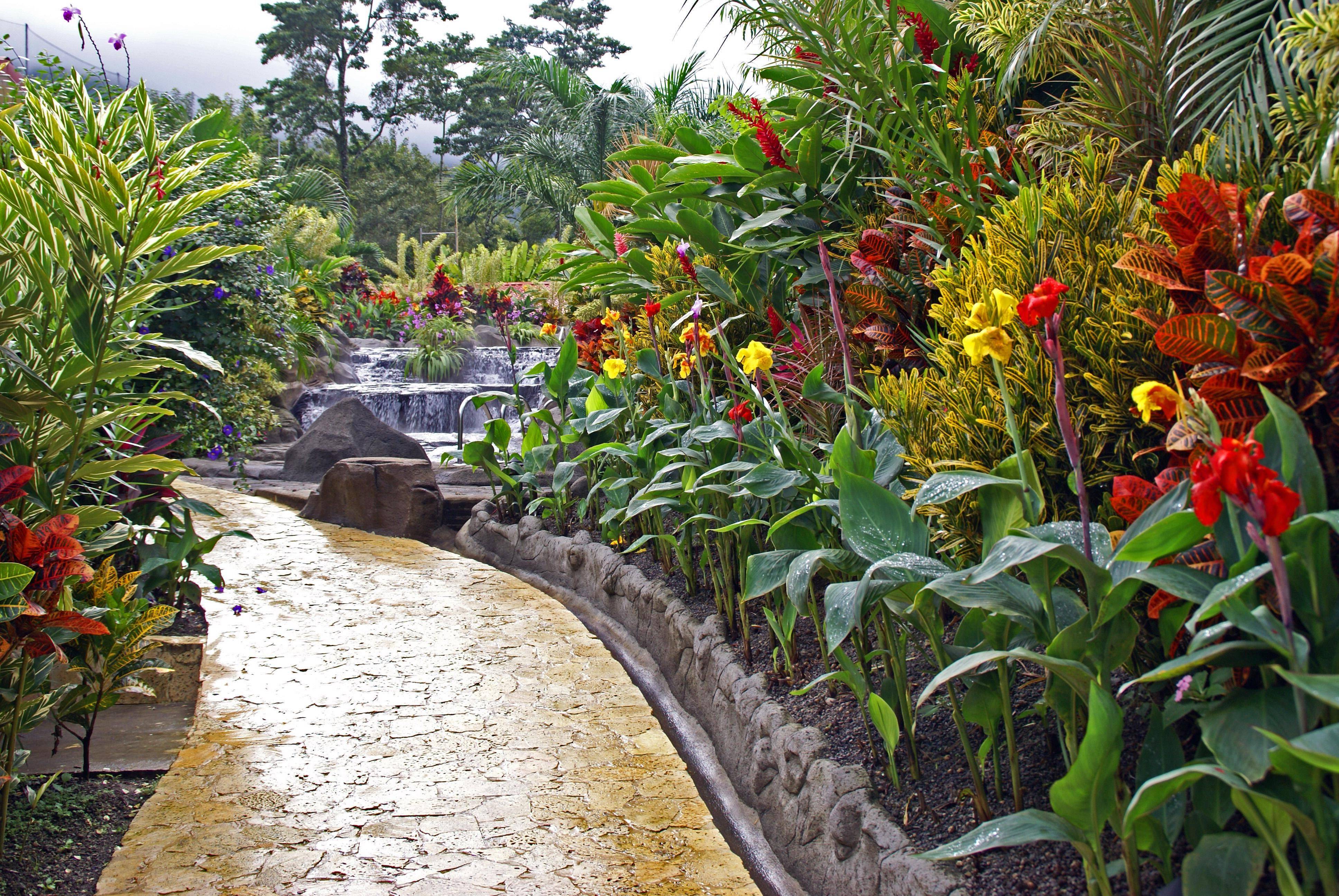 Tropical Garden Design