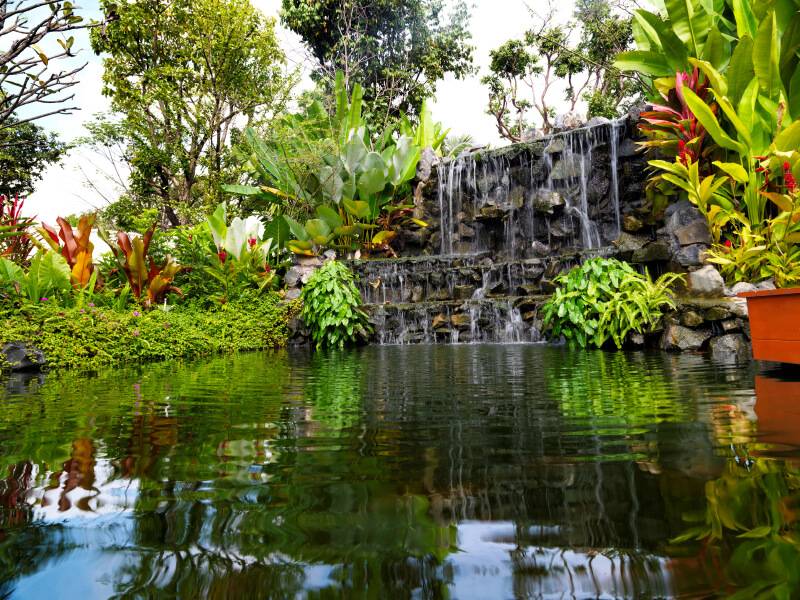 Tropical Garden Waterfall Photograph