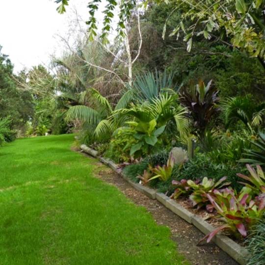 An Exotic Garden N The Uk