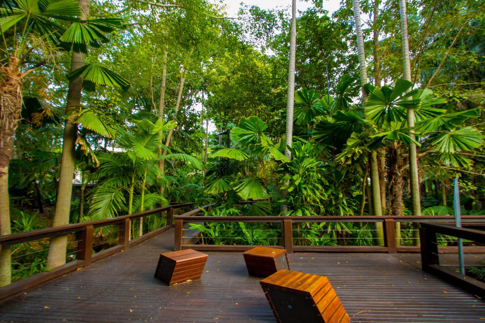 New Zealand Urban Sub Tropical Garden Tropical Garden